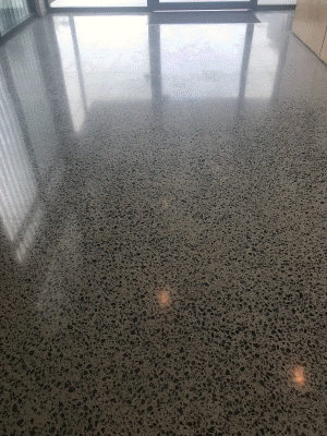 floor completed after re-grind & polish 1